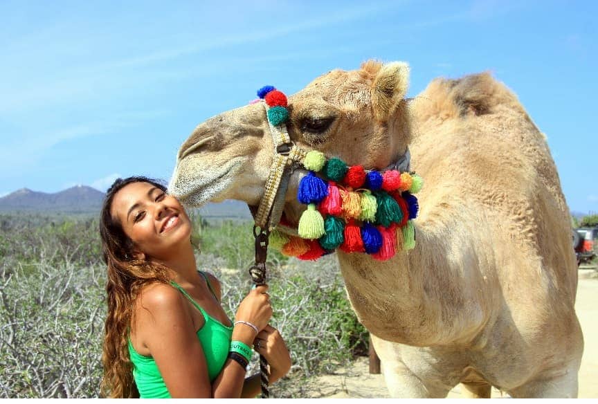 CAMELLOBESO.COM