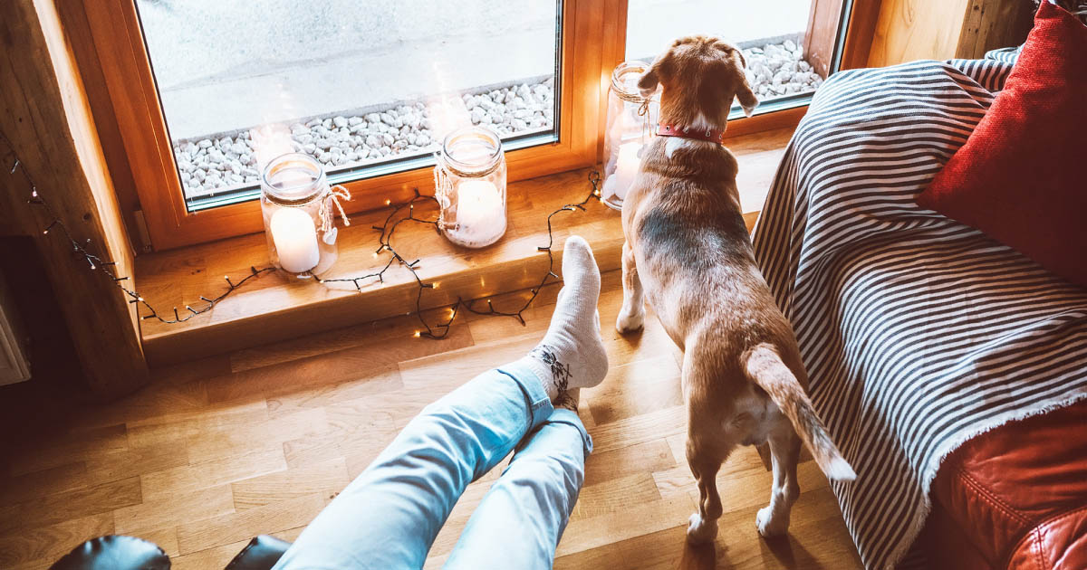 Tómate un tiempo libre para de verdad disfrutar tu ciudad