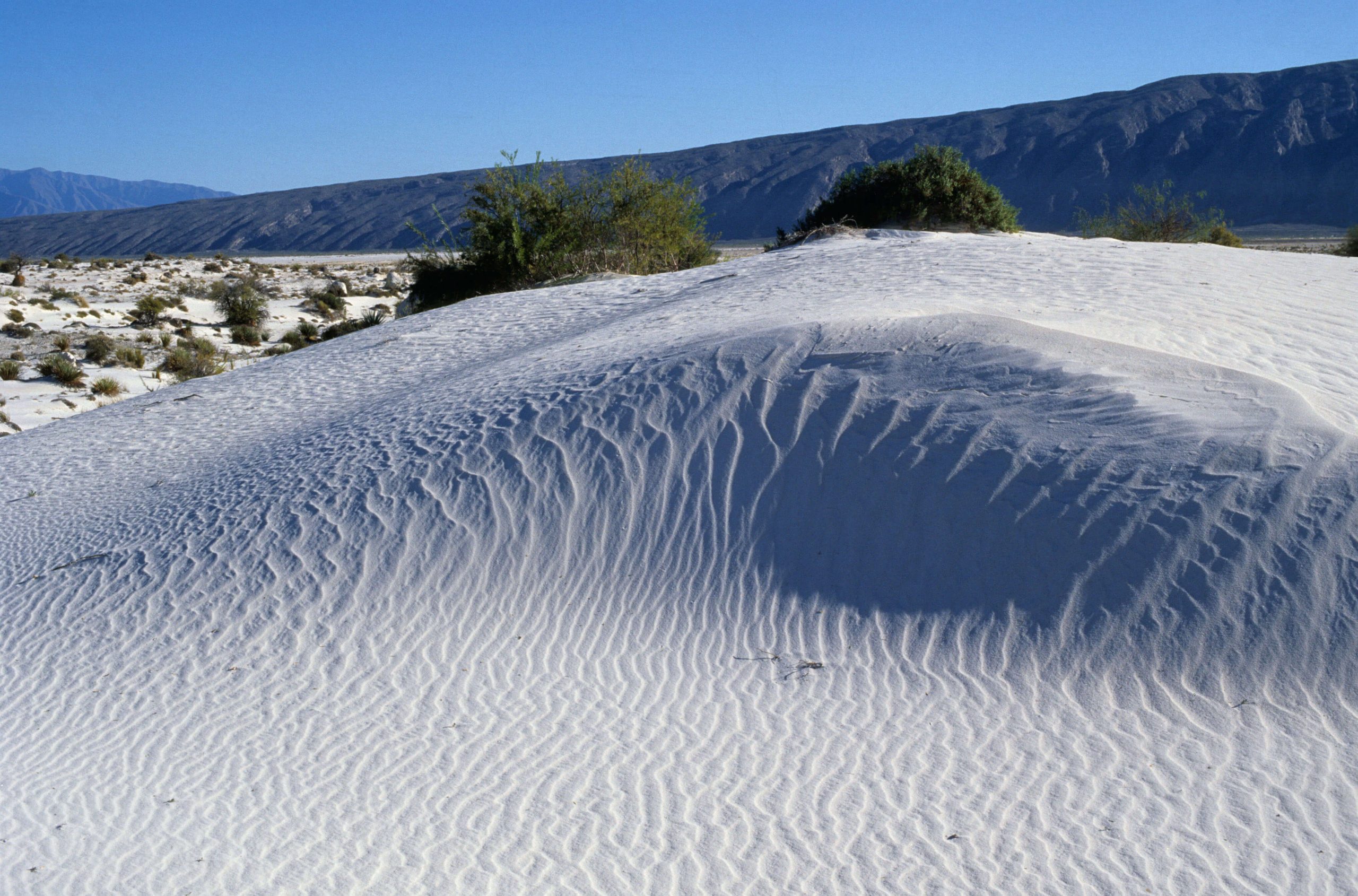 Renta un auto en Coahuila Viaje en auto por Coahuila