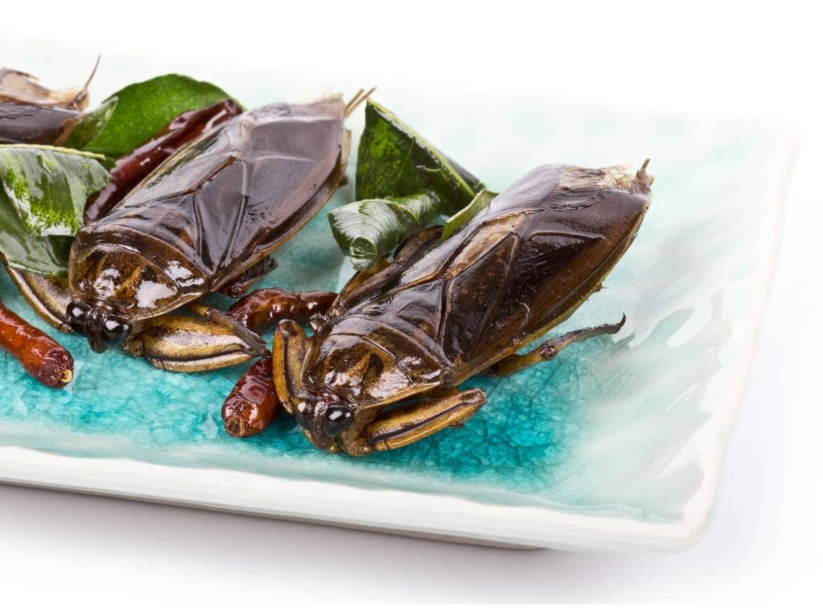 shutterstock_150329153